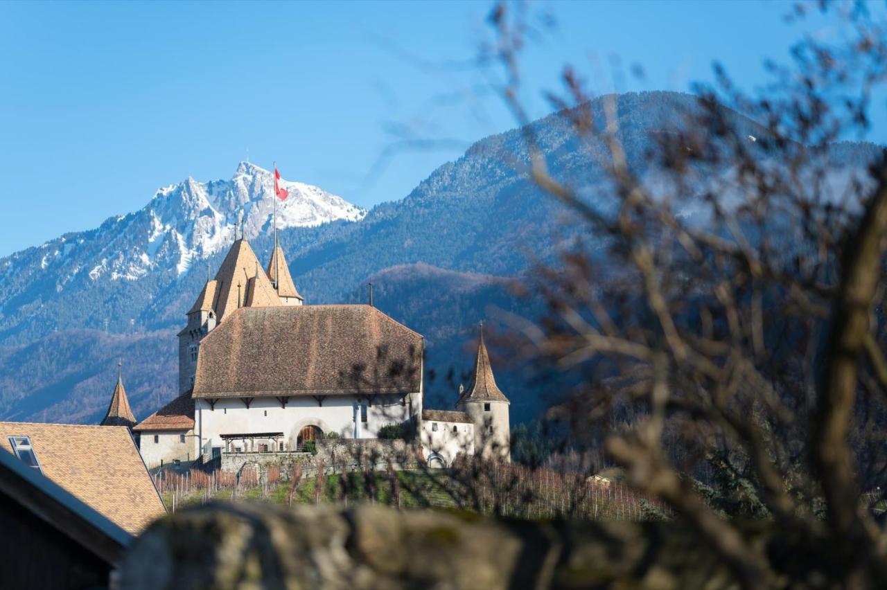 Nonanteneuf Appart Hotel Aigle - Contactless Check-In Esterno foto